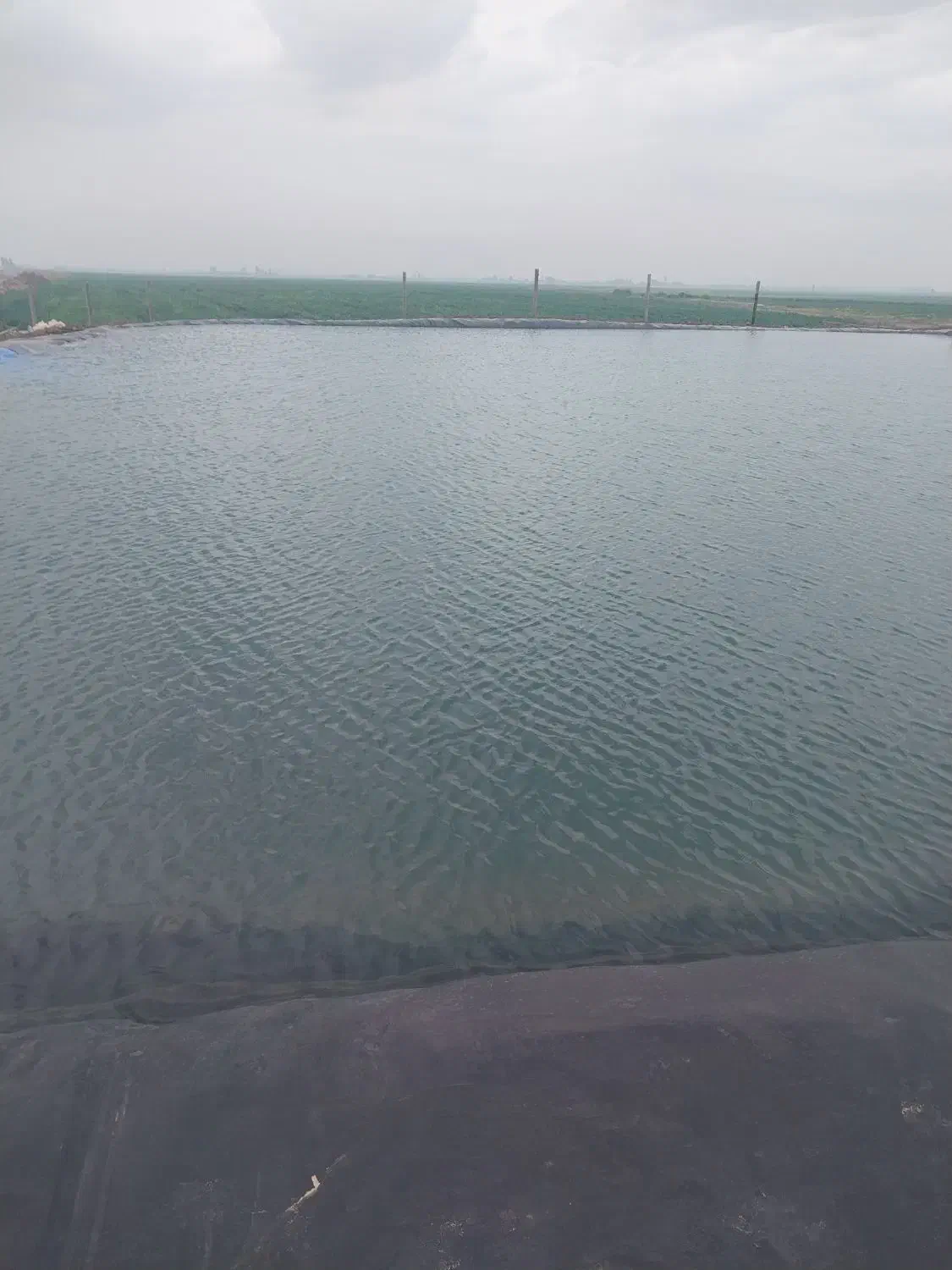 اجااره زمین کشاورزی|اجارهٔ دفتر صنعتی، کشاورزی، تجاری|اسفرورین, |دیوار