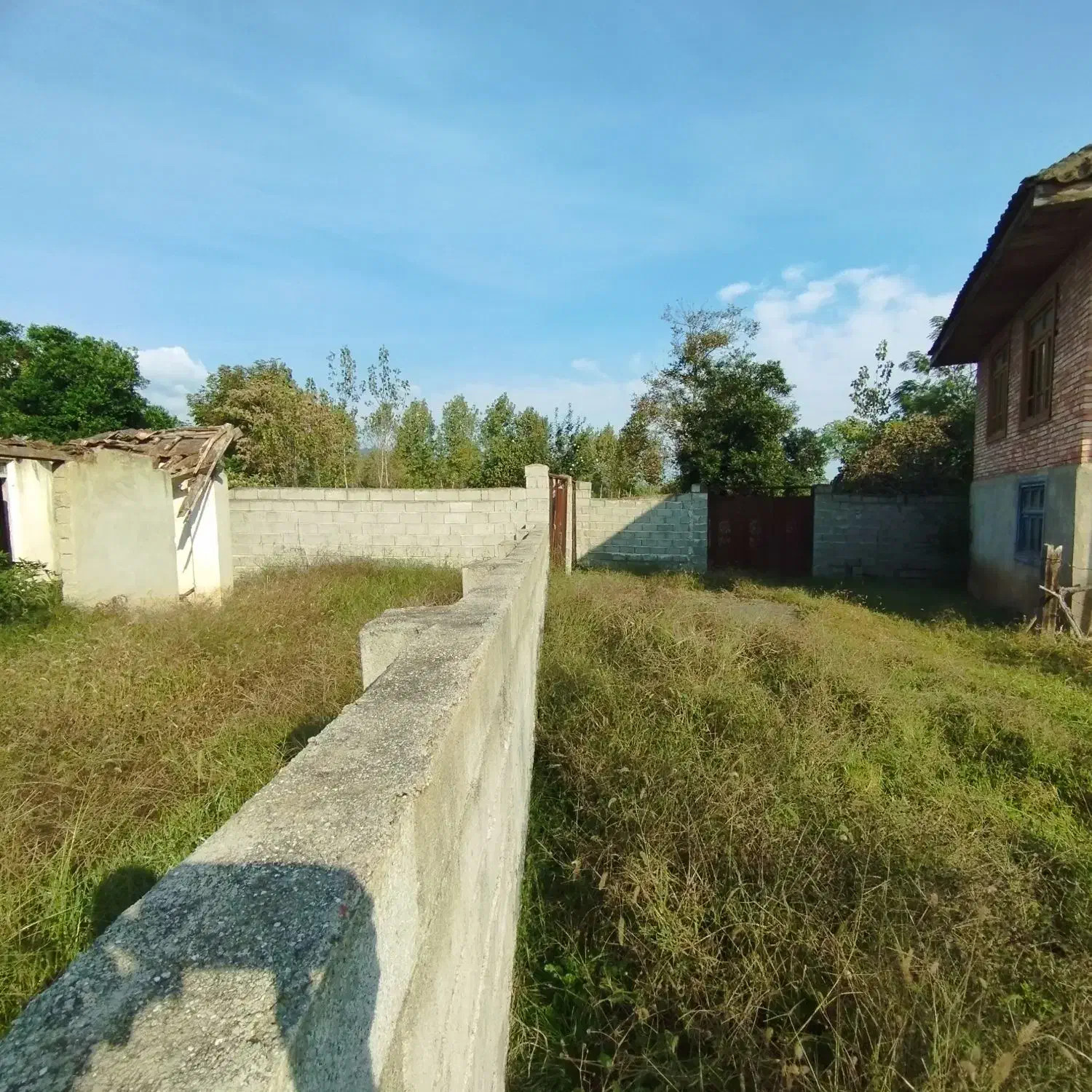 300متر زمین مسکونی باویلای مخروبه تالش|فروش خانه و ویلا|لیسار, |دیوار