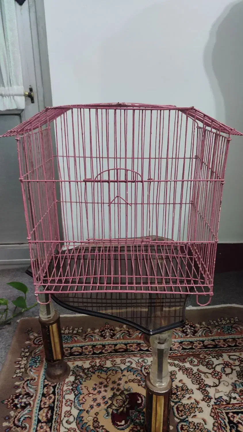 قفس کوچک پرنده|لوازم جانبی حیوانات|بهشهر, |دیوار