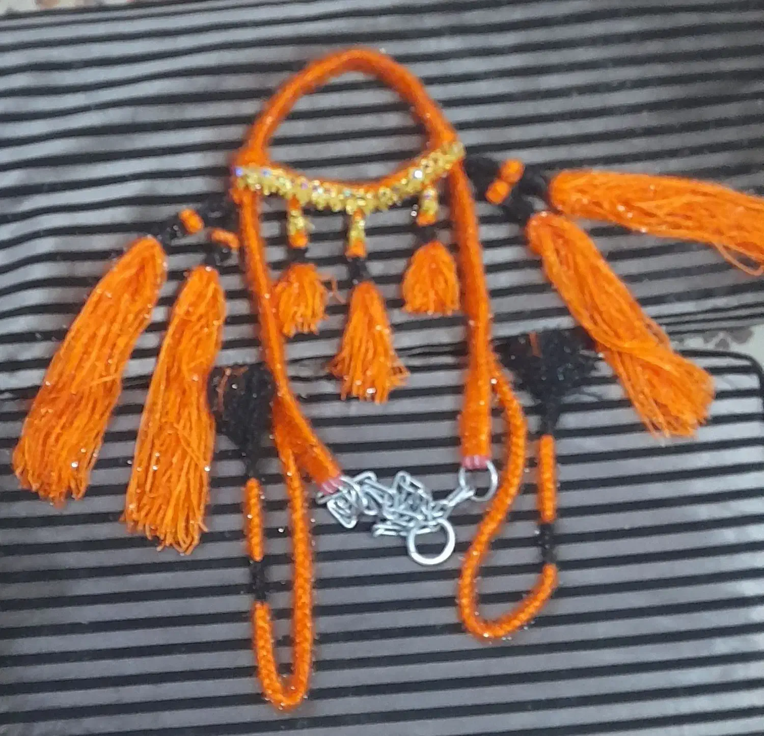 اسب|اسب و تجهیزات اسبسواری|حمیدیه, |دیوار