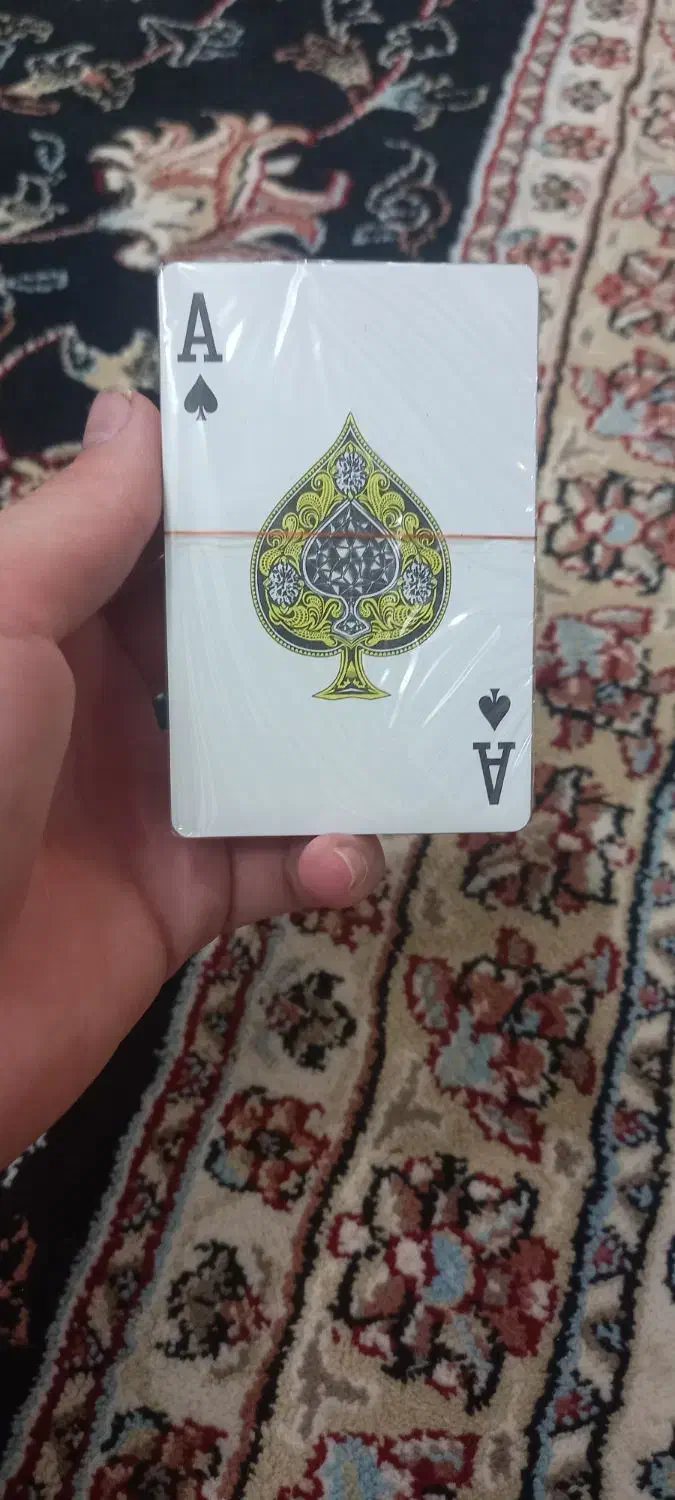 پاستور نونو|کلکسیون و سرگرمی|بروجرد, |دیوار