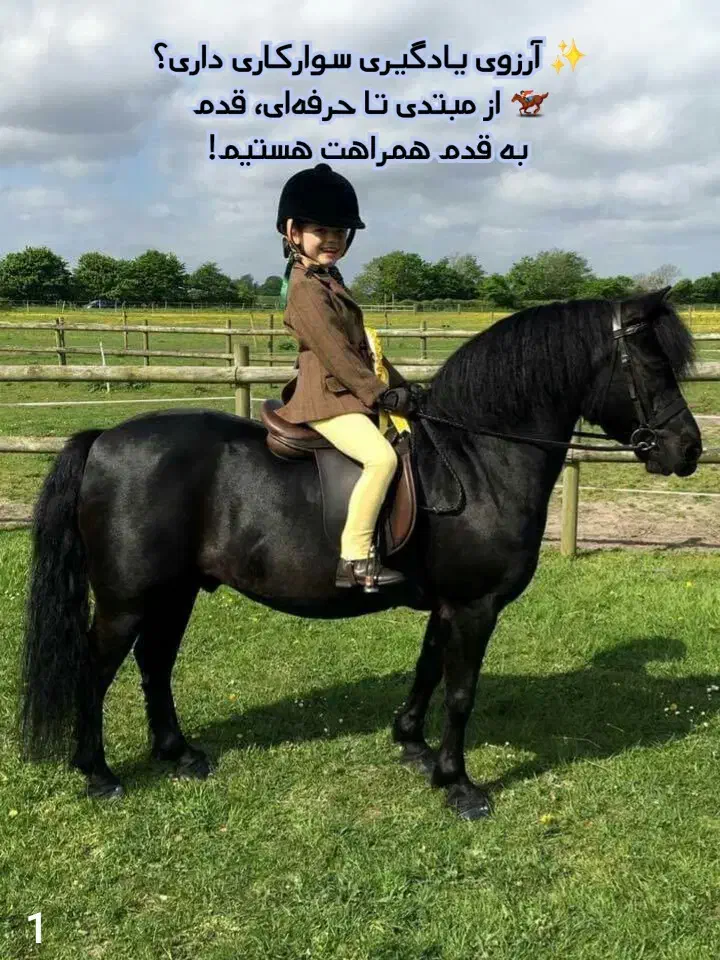 آموزش سوارکاری  پانسیون  محمدشهر و مهرشهر|خدمات آموزشی|محمدشهر, محمدشهر|دیوار