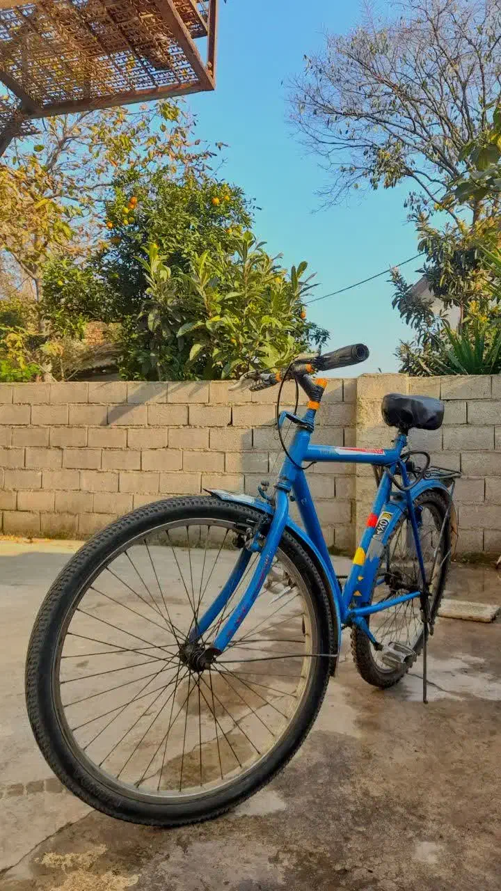 دوچرخه در حد نو سالم خوش رنگ بدون خرج|دوچرخه، اسکیت، اسکوتر|نوشهر, |دیوار