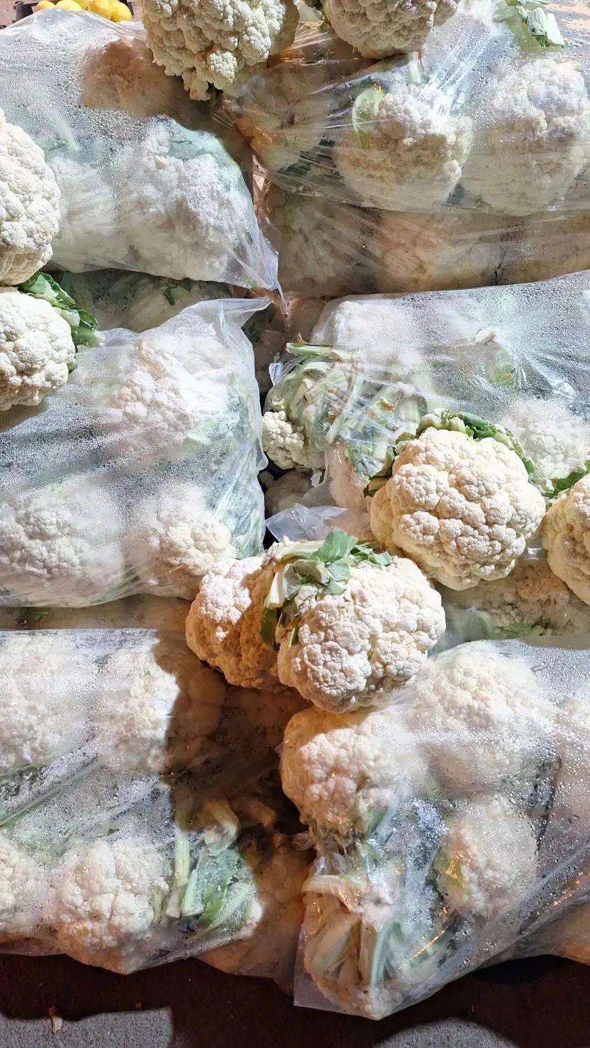 همکار شیفت شب برا میوه فروش|استخدام خدمات فروشگاه و رستوران|قزوین, |دیوار