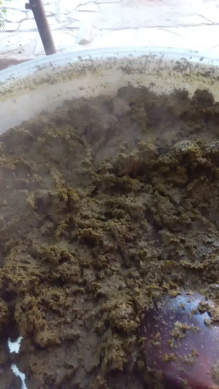 سبزی قورمه و شوید تازه|خوردنی و آشامیدنی|تهران, علم و صنعت|دیوار