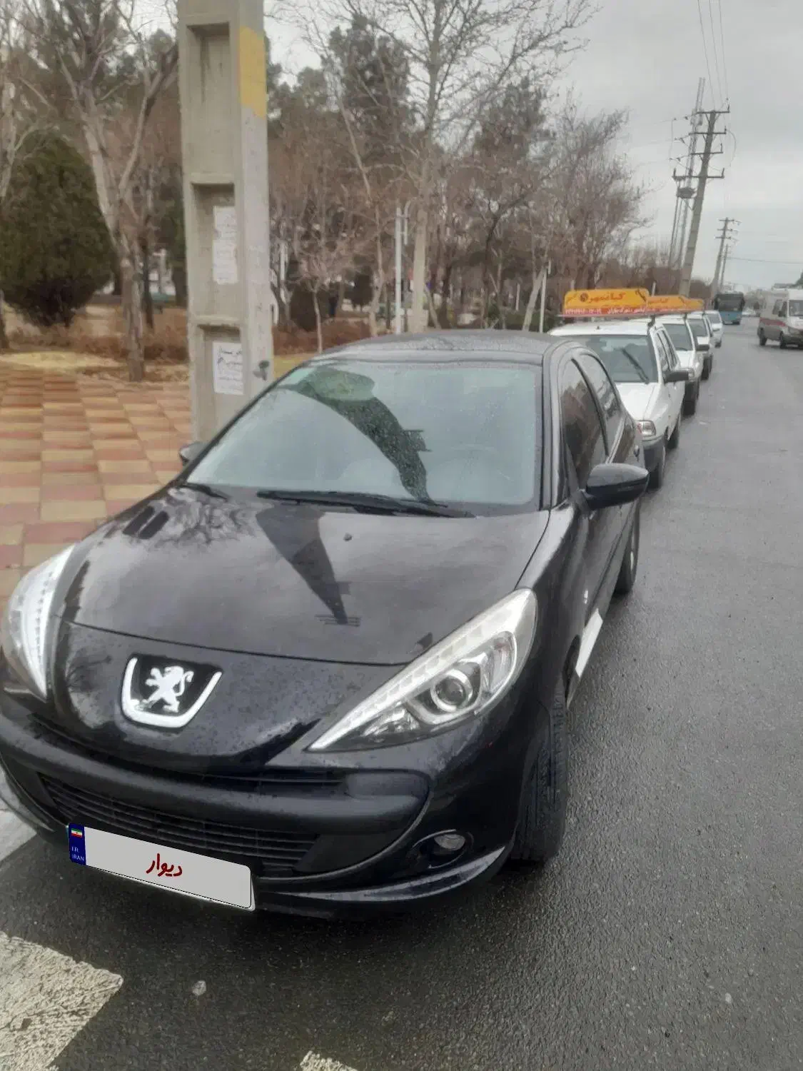 207 پانا ۱۴۰۰ بی رنگ|خودرو سواری و وانت|کرج, ساماندهی|دیوار