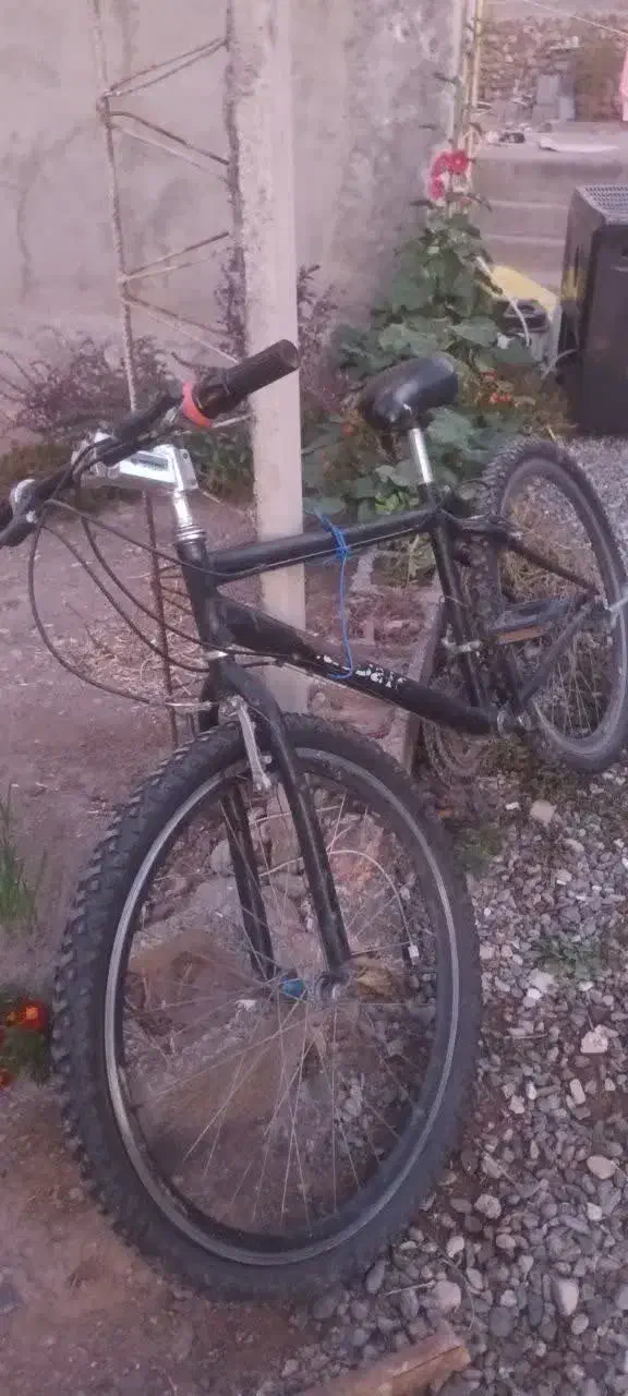 دوچرخه|دوچرخه، اسکیت، اسکوتر|خوی, |دیوار