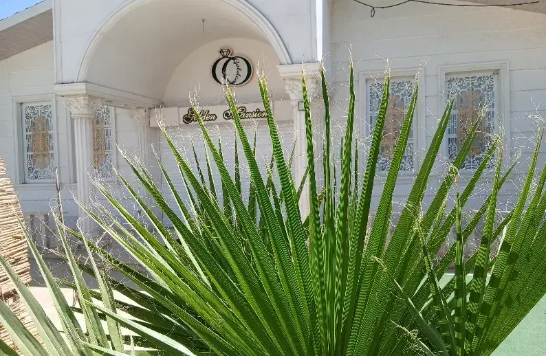 تالار جشن و تشریفات مجالس عمارت طلایی|خدمات پذیرایی، مراسم|قهدریجان, |دیوار