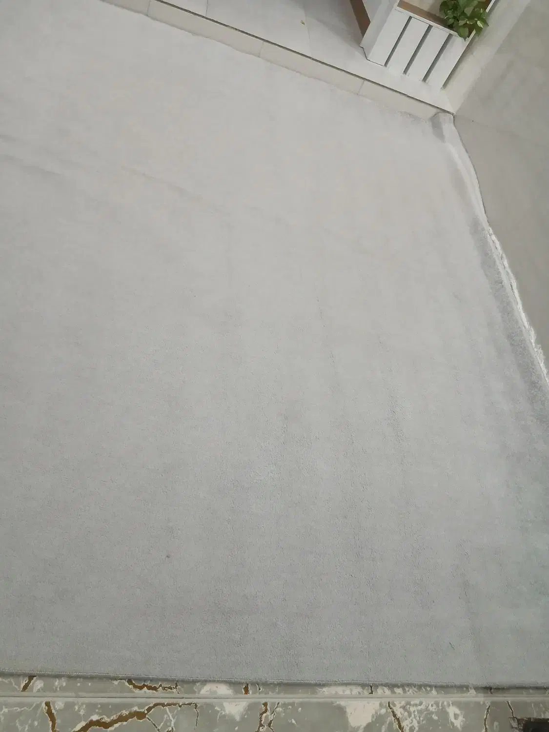 موکت|موکت|مرودشت, ژیان|دیوار