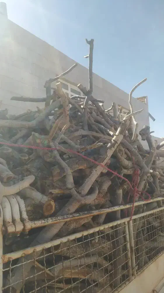 خرید چوب|خدمات باغبانی و درختکاری|زرند, |دیوار