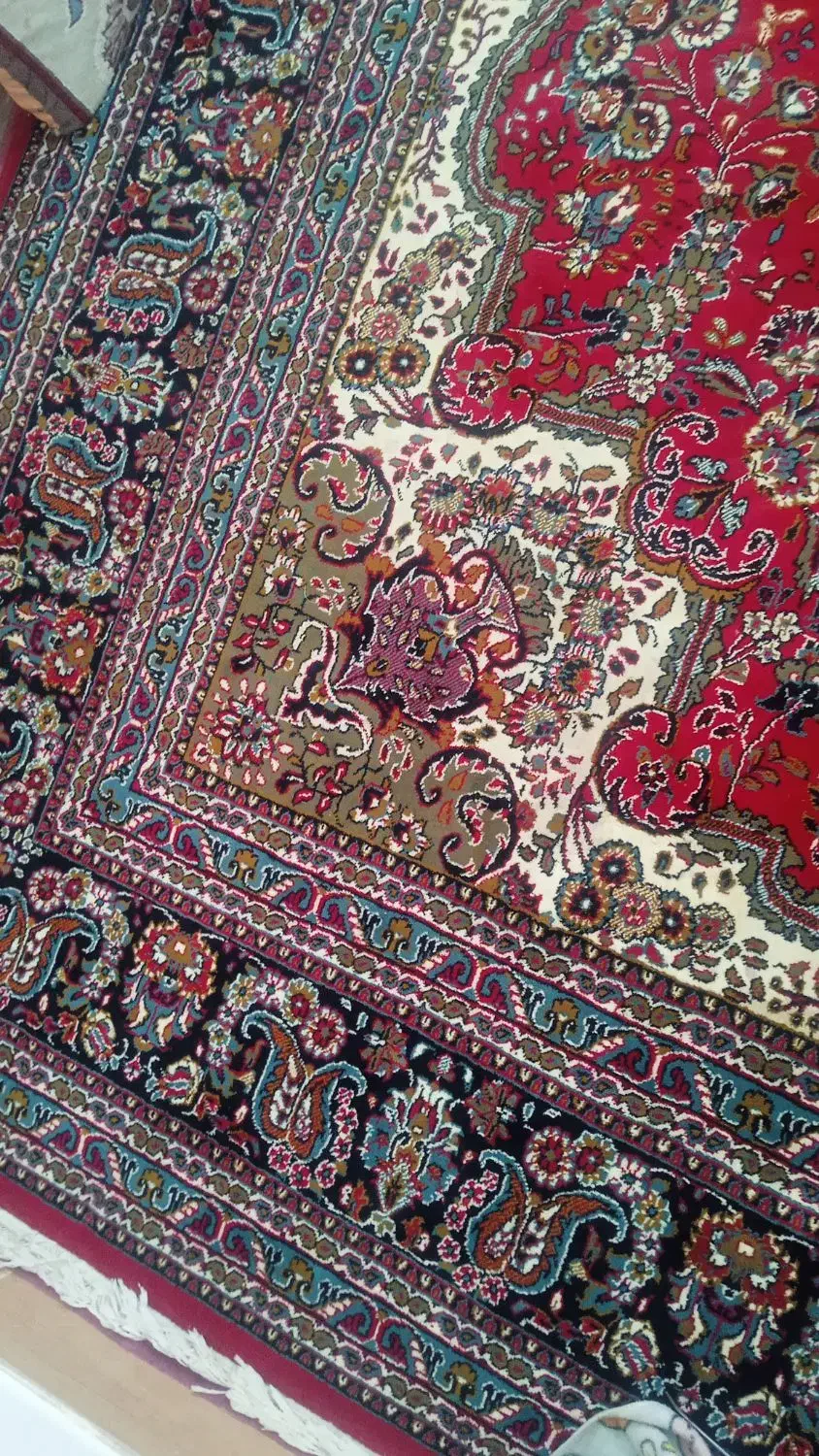 قالی 12متری|فرش|تایباد, |دیوار