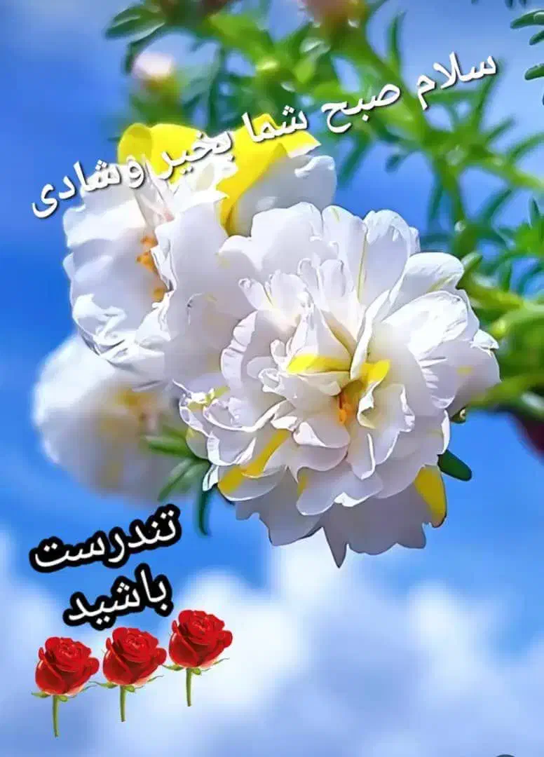 کارت سوخت|اشیا|یاسوج, |دیوار