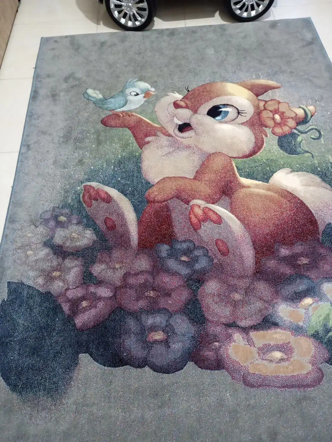 فرش اطاق کودک|فرش|قم, انسجام|دیوار