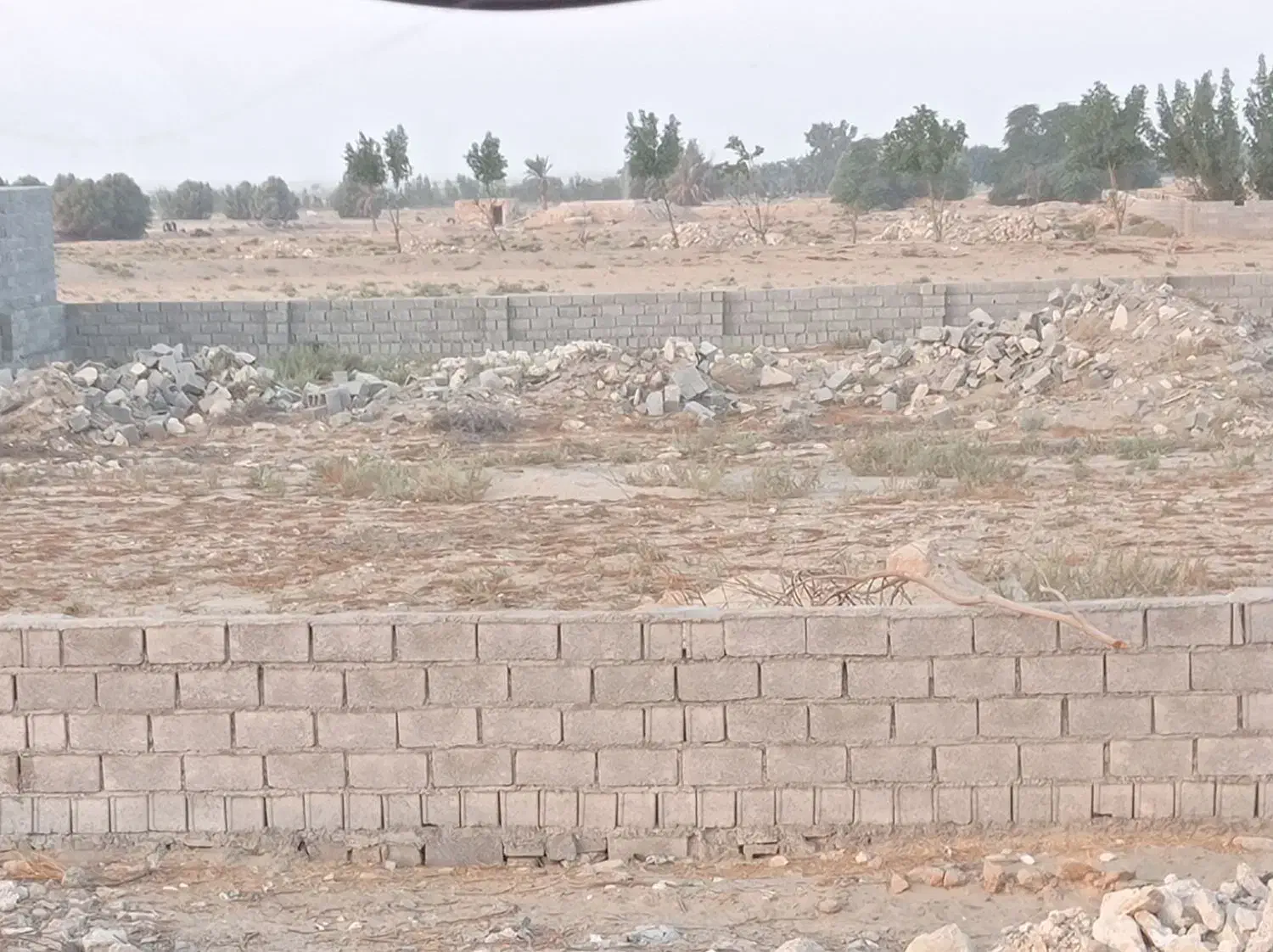 فروش زمین مسکونی چاهکوتاه|فروش زمین و ملک کلنگی|چغادک, |دیوار