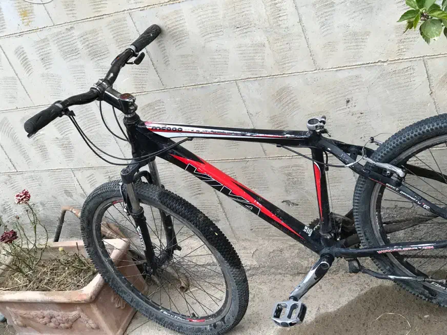 دوچرخه viva اصلی با شناسنامه سایز۲۷|دوچرخه، اسکیت، اسکوتر|مراغه, |دیوار