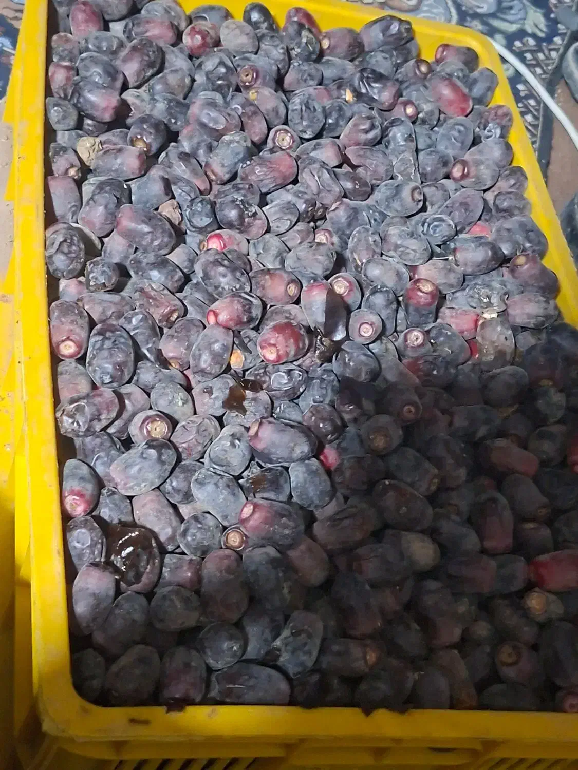 فروش ۲۰تن خرمای ۶/۵کیلویی|عمدهفروشی|بم, |دیوار