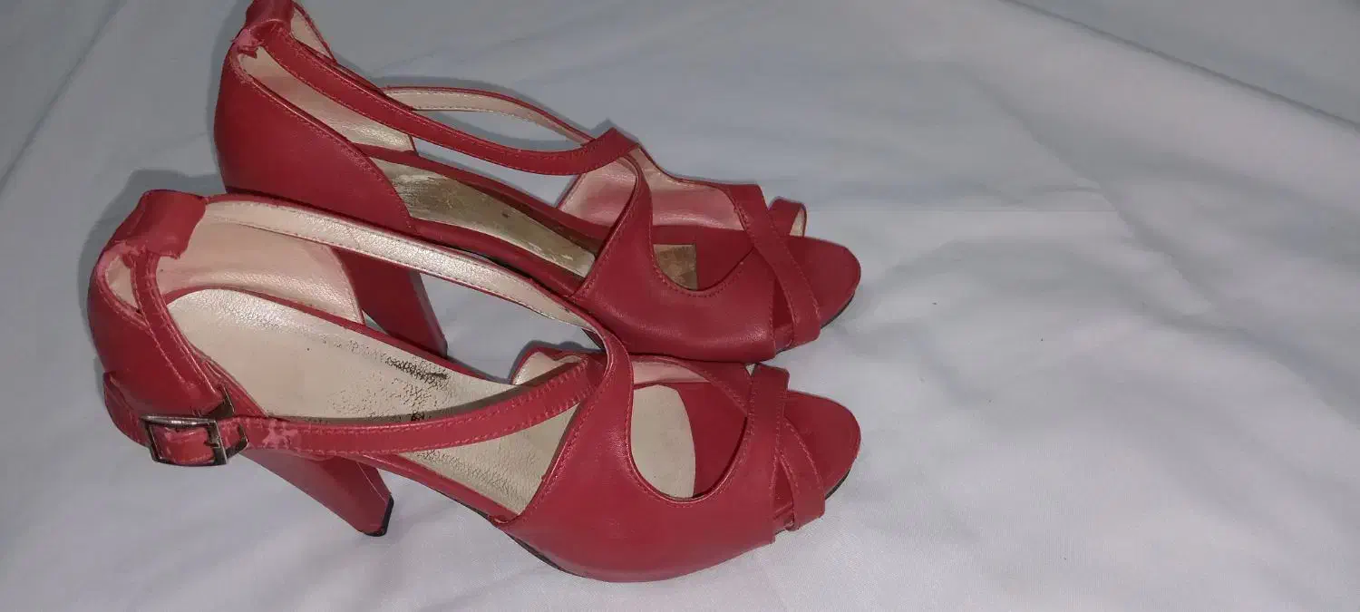 کفش مجلسی|کیف، کفش، کمربند|اهواز, زندوکیلی|دیوار