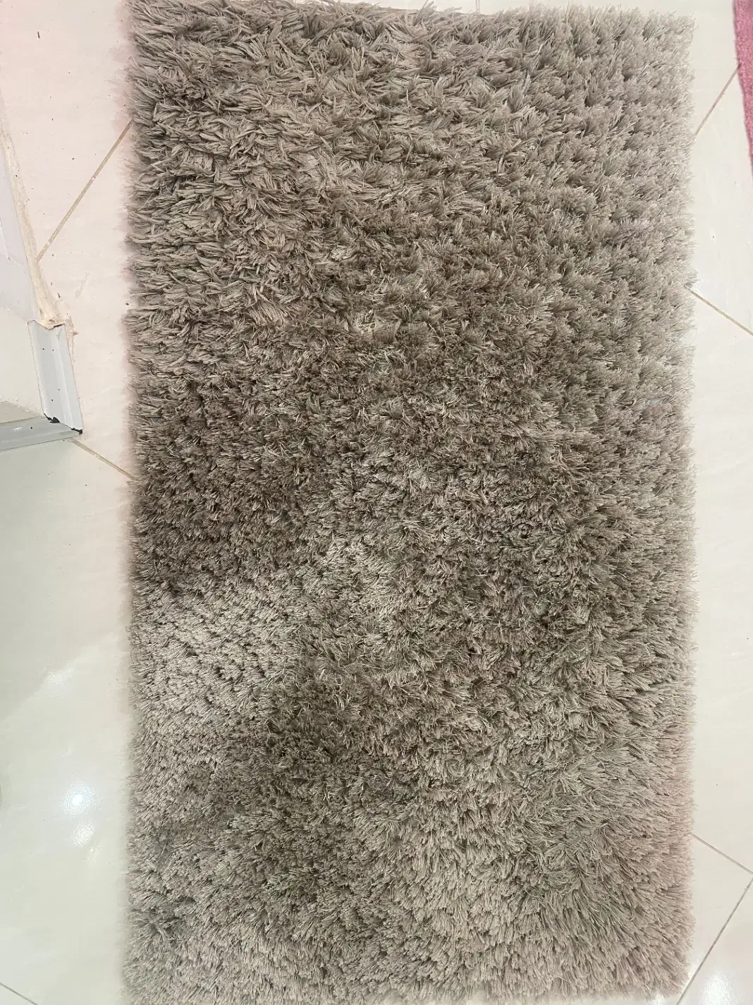 ۳عدد گلیم شگی|گلیم، جاجیم، گبه|سنندج, |دیوار