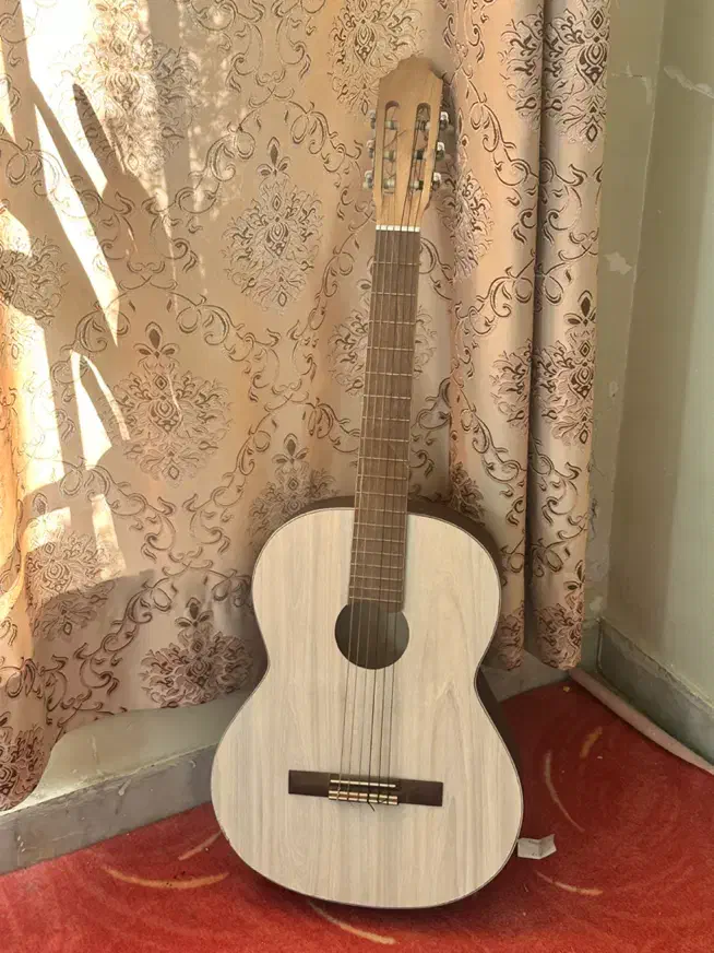 گیتار|گیتار، بیس، امپلیفایر|شیراز, شیخ علی چوپان|دیوار