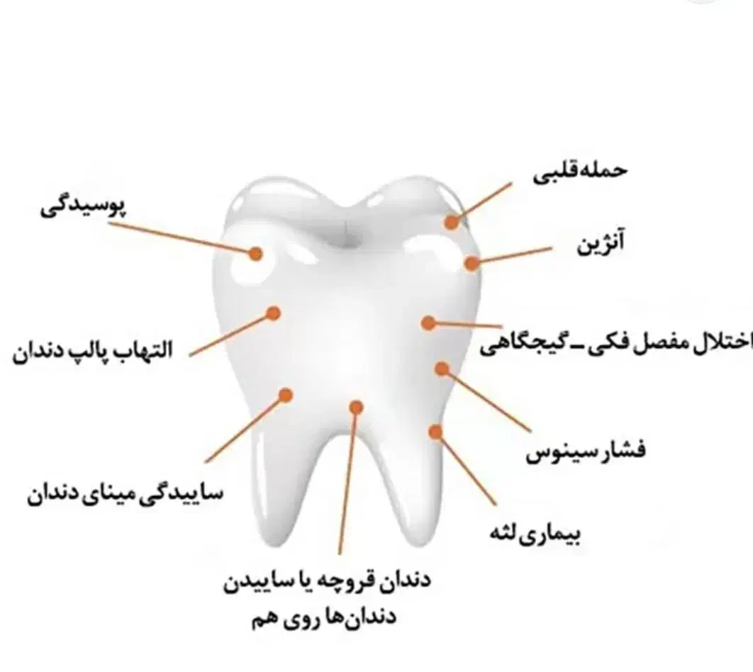درمان دندان درد|فعالیت داوطلبانه تحقیقاتی|شادگان, |دیوار