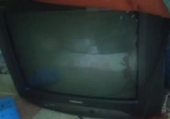 تلویزیون|تلویزیون و پروژکتور|شیراز, نیستان|دیوار