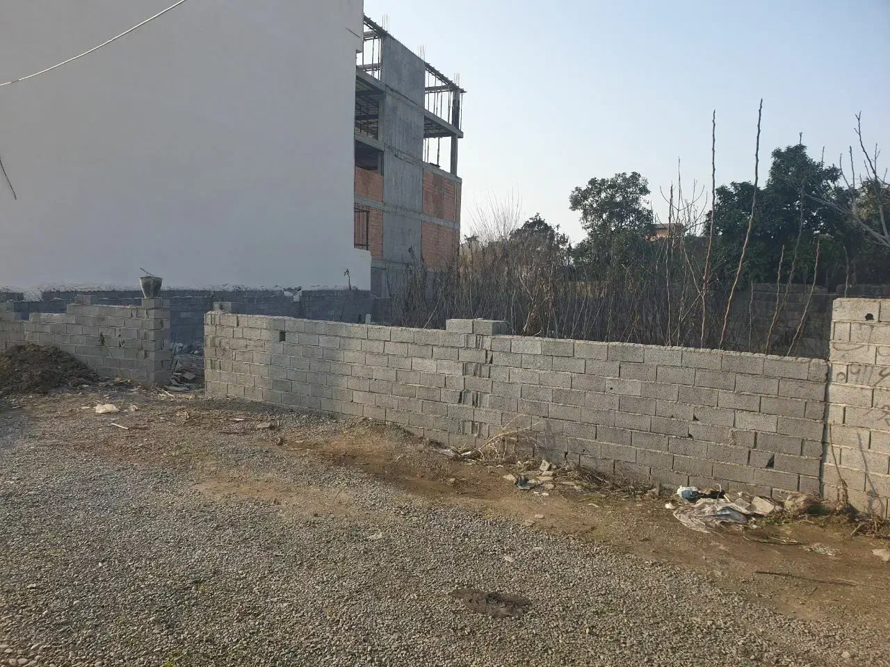 زمین ۱۸۵ متری با بر عالی و مناسب برای ویلاسازی|فروش زمین و ملک کلنگی|امیرکلا, |دیوار