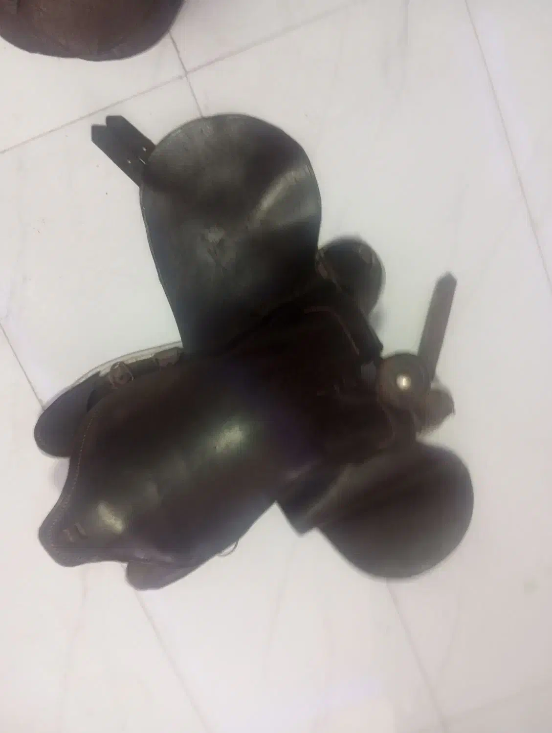 تجهیزات اسب|اسب و تجهیزات اسب‌سواری|صفادشت, |دیوار