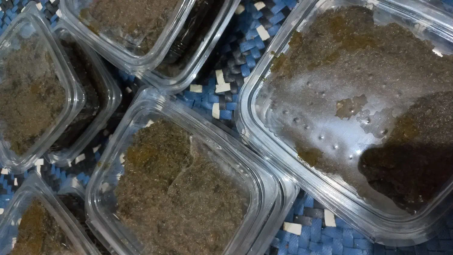 سبزی سرخ شده ترش واش|خوردنی و آشامیدنی|قم, شهرک امام حسن|دیوار