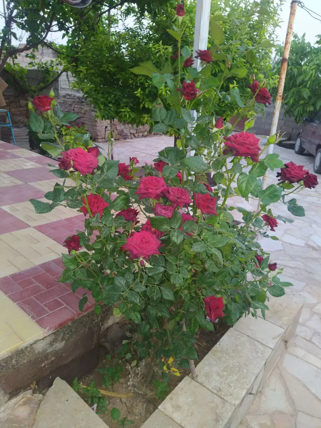 خونه ویلایی|فروش خانه و ویلا|رادکان, |دیوار