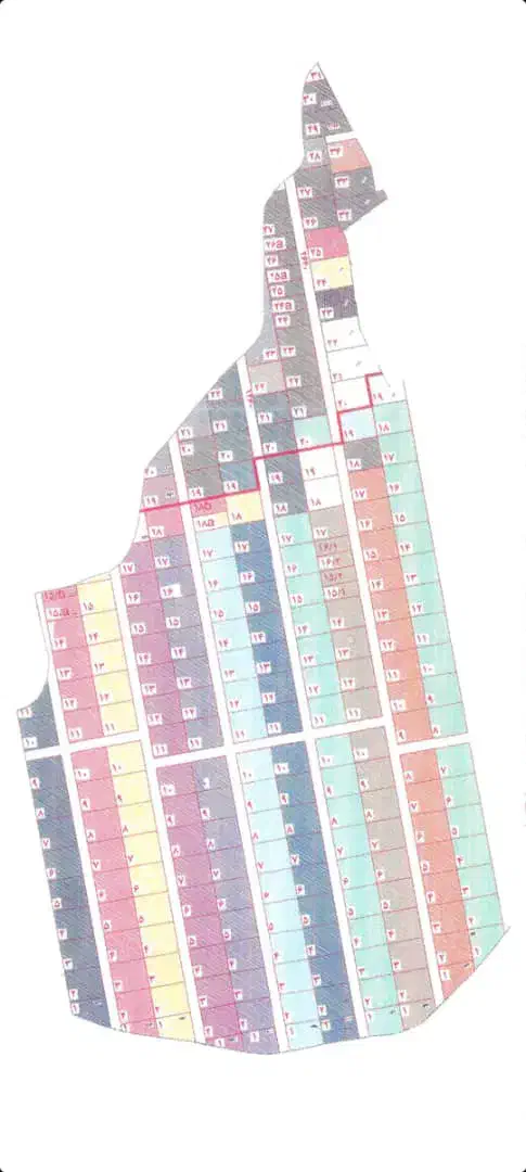 زمین هزار متری فاز ۱ تلو|فروش زمین و ملک کلنگی|تلو, |دیوار