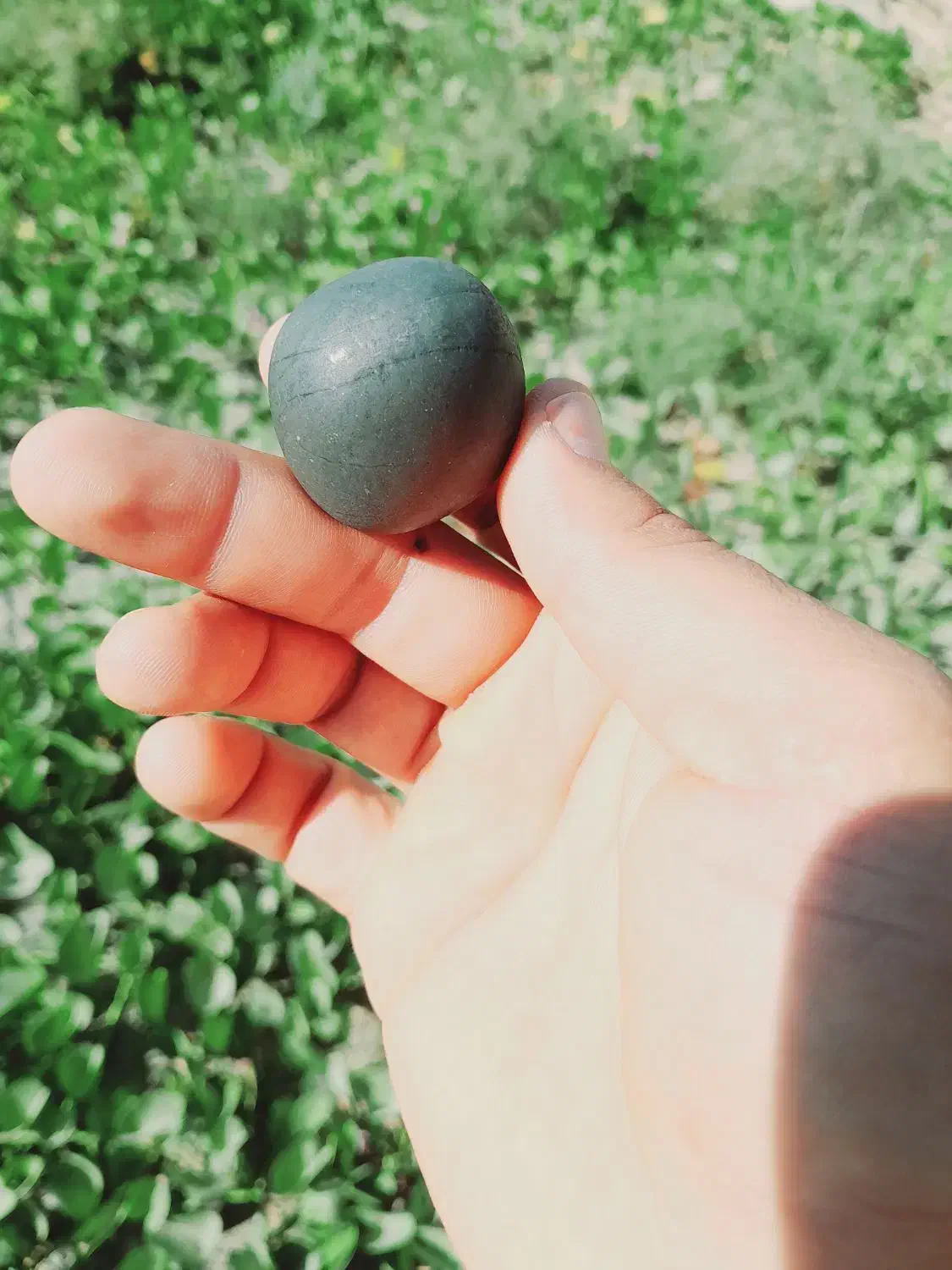 جواهر ارزشمند|کلکسیون اشیاء عتیقه|فین, |دیوار