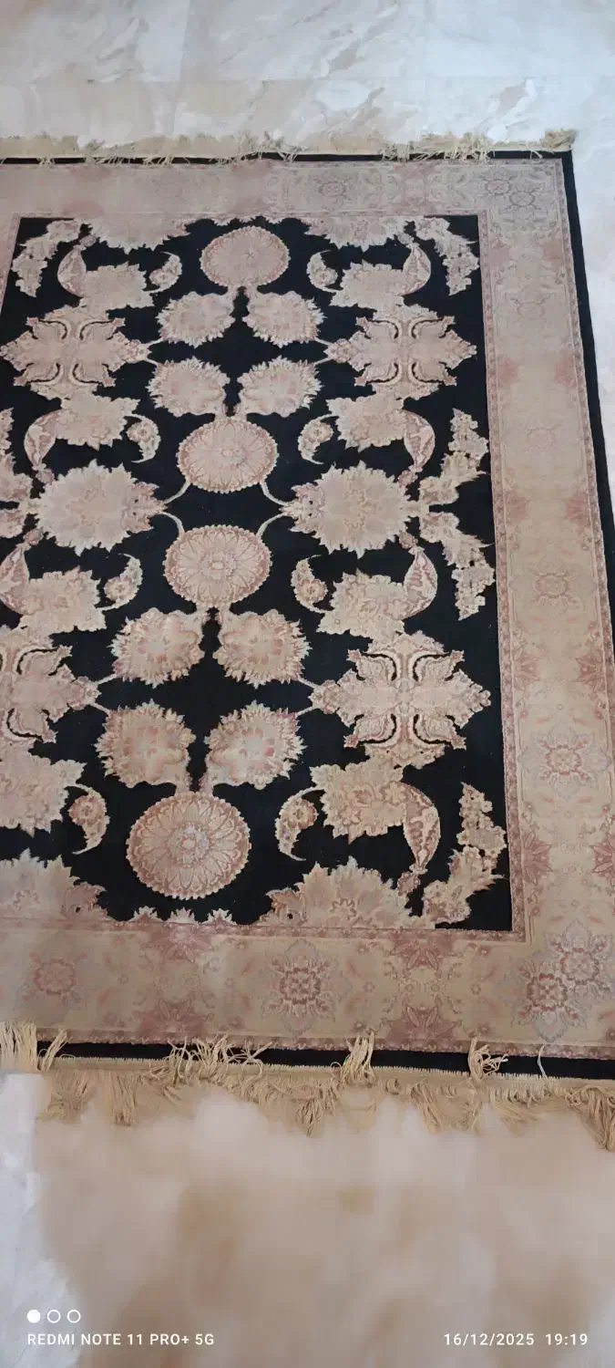 قالیچه|فرش|نوشهر, |دیوار