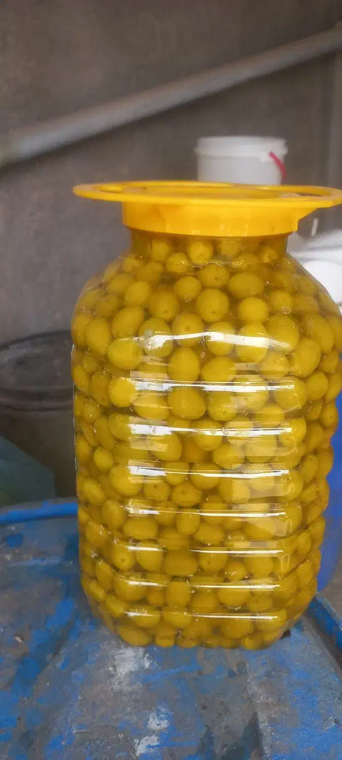 پخش عمده زیتون|عمده‌فروشی|رودبار, |دیوار