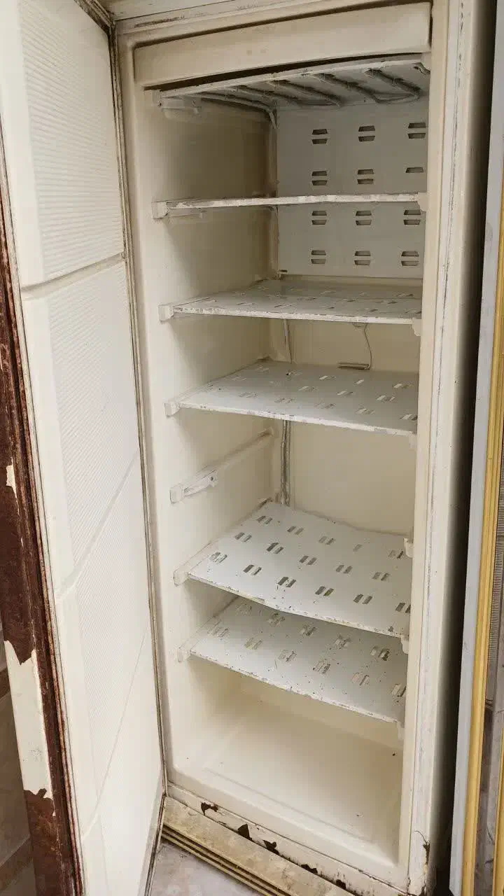 یخچال مغازه بافریزرقدیمی|یخچال و فریزر|بابل, |دیوار