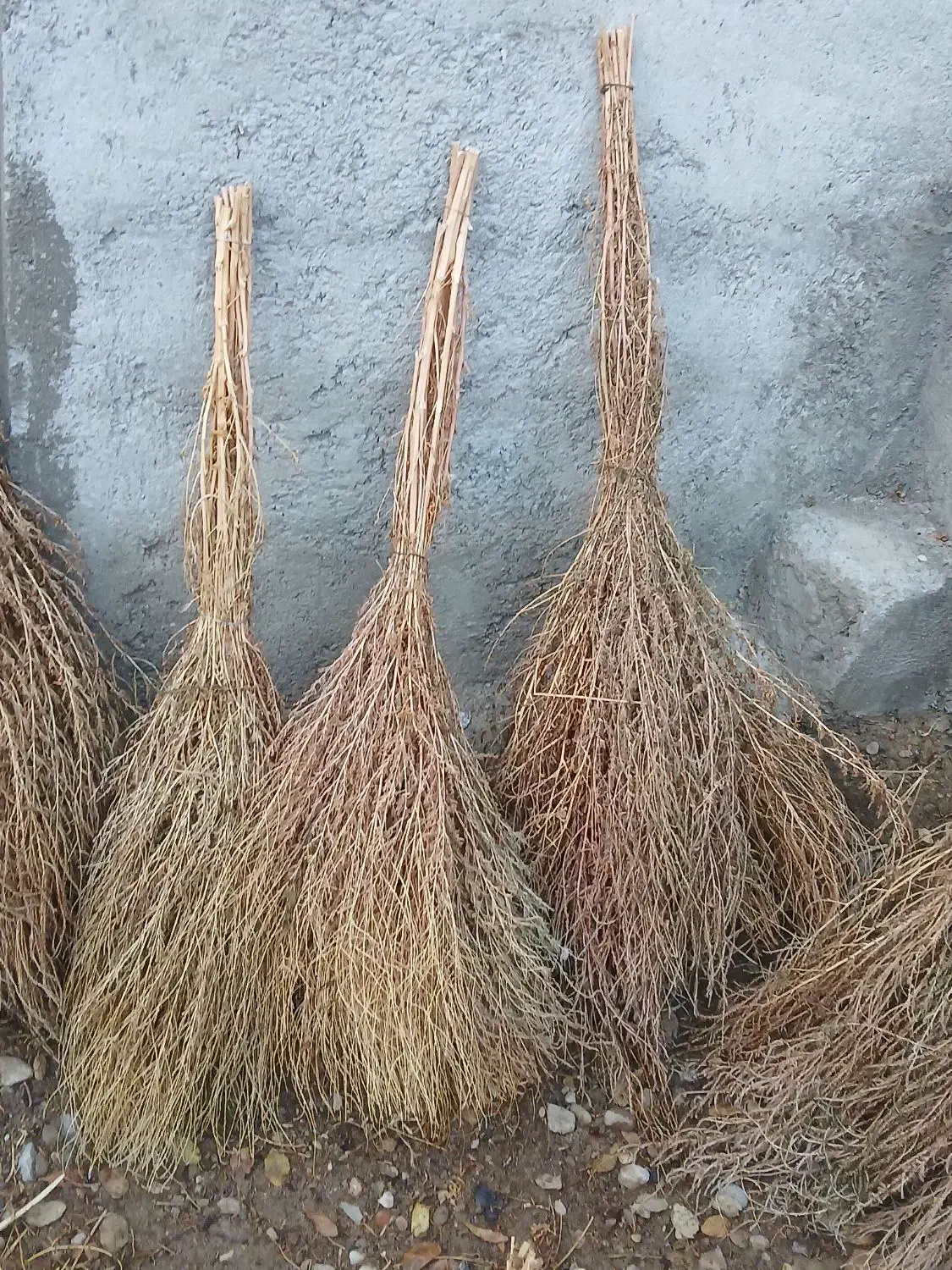 جارو دستی|لوازم نظافت|میاندوآب, |دیوار