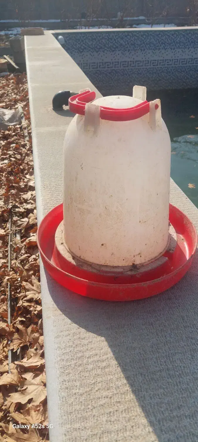 ابخوری|لوازم جانبی حیوانات|ابریشم, |دیوار