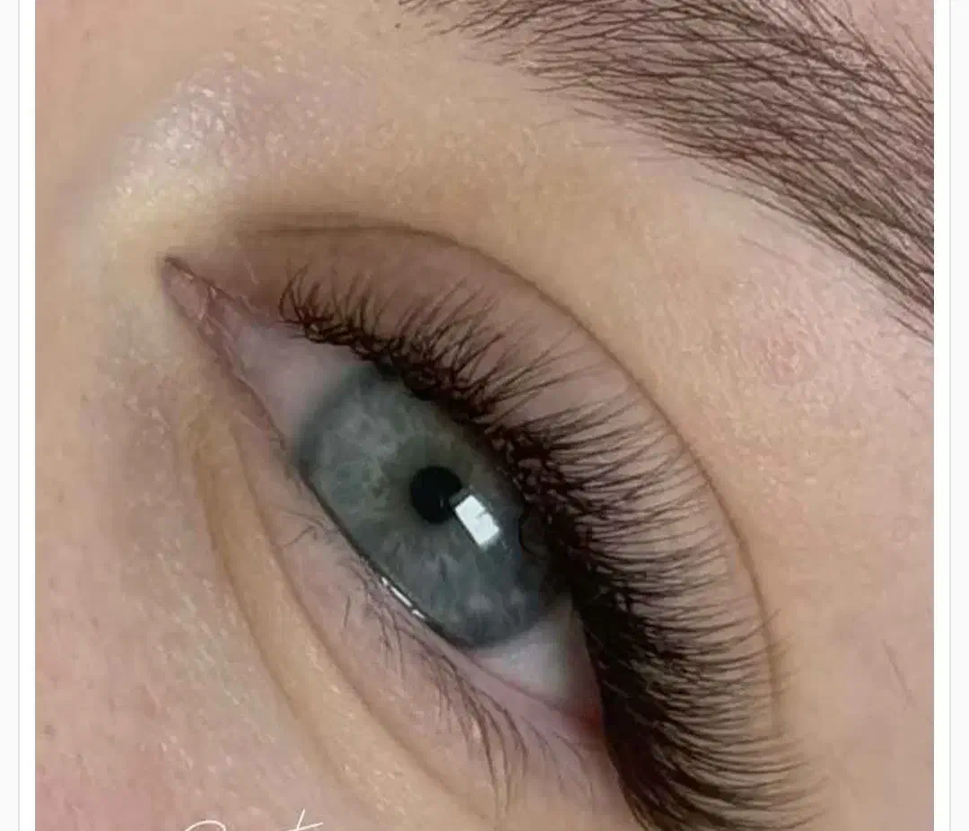 نیازمند مدل کلاسیک اکستنشن مژه|خدمات آرایشگری و زیبایی|شاهینشهر, نظامی|دیوار