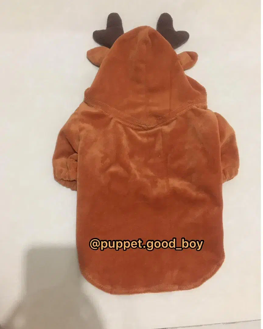 لباس پت سگ و گربه|لوازم جانبی حیوانات|شاهین‌شهر, عطار|دیوار