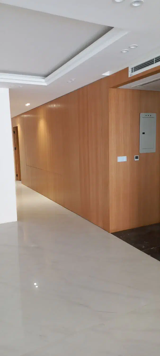 نقاشی و رنگکاری ساختمان|خدمات پیشه و مهارت|شیراز, تندگویان|دیوار