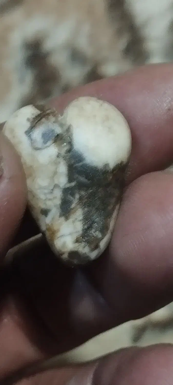 مجموعه ای ازسنگهای قیمتی|جواهرات|مراغه, |دیوار