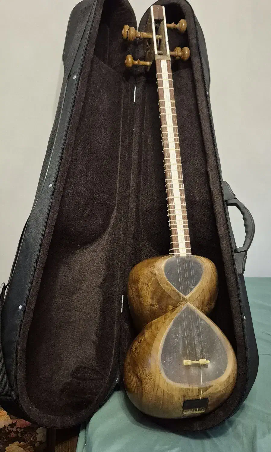 تار هاشمیان|سازهای سنتی|تهران, هروی|دیوار