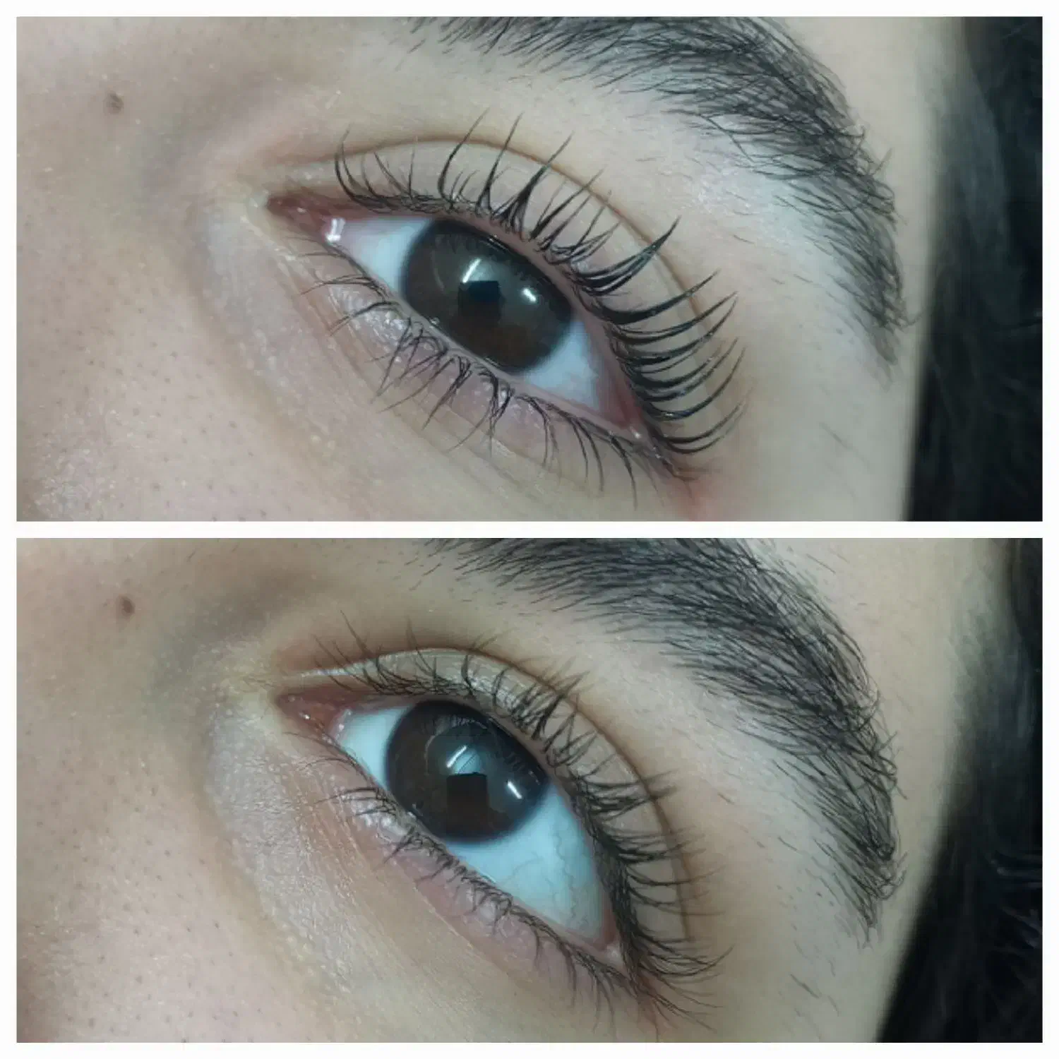 لیفت مژه و ابرو فقط و فقط قیمت مواد|خدمات آرایشگری و زیبایی|رشت, نیکمرام|دیوار