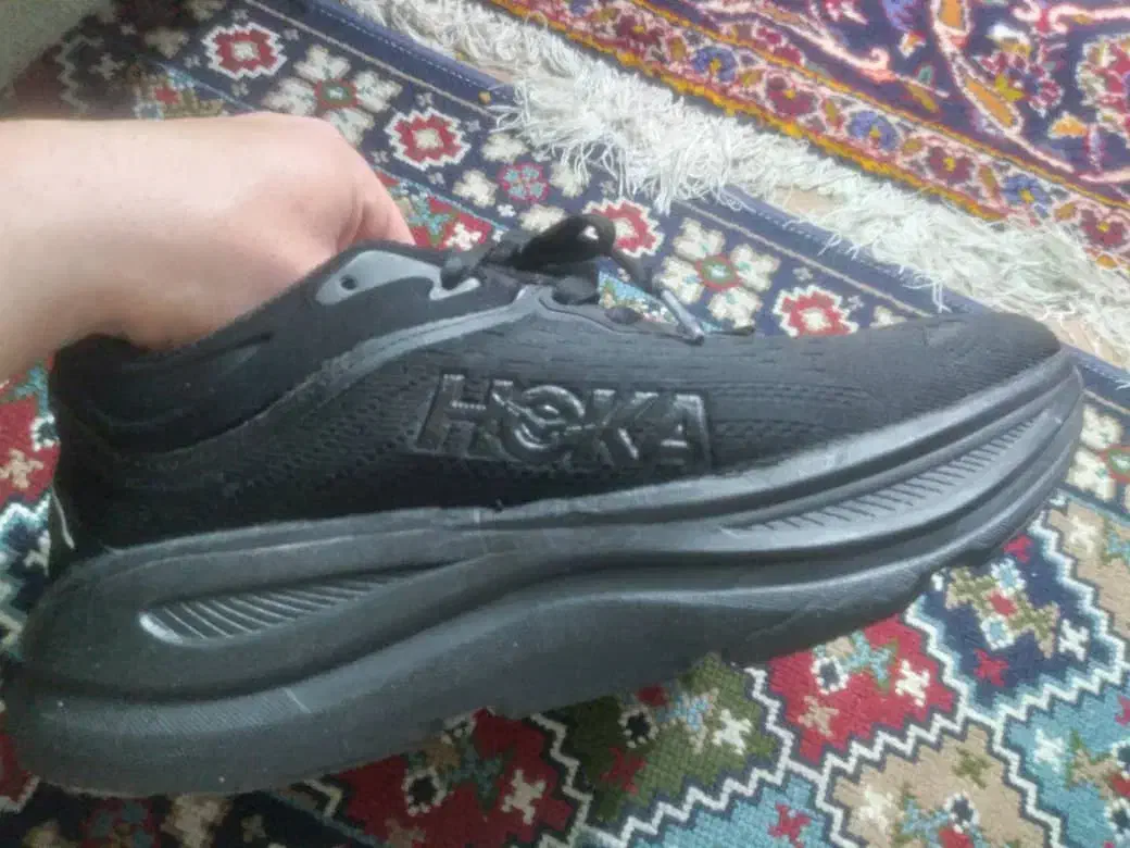 کفش|کیف، کفش، کمربند|فسا, |دیوار