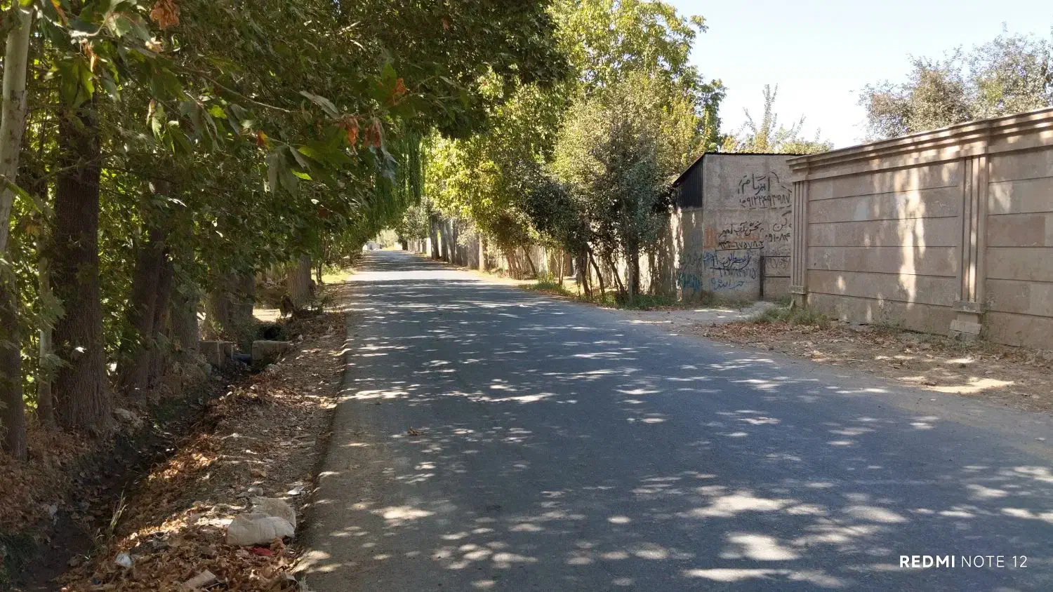 ۲۵۰ متر زمین مناسب ساخت ویلا بهترین لوکیشن سهیلیه|فروش زمین و ملک کلنگی|کرج, دهقان ویلا|دیوار