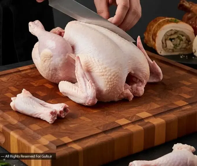 مرغ هلندی|خوردنی و آشامیدنی|تهران, گاندی|دیوار