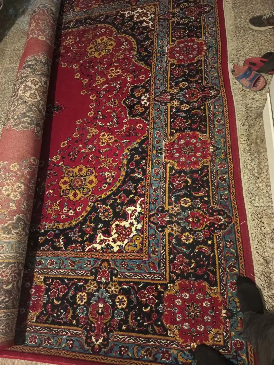 فرش 12متری|فرش|شیراز, هفت تنان|دیوار