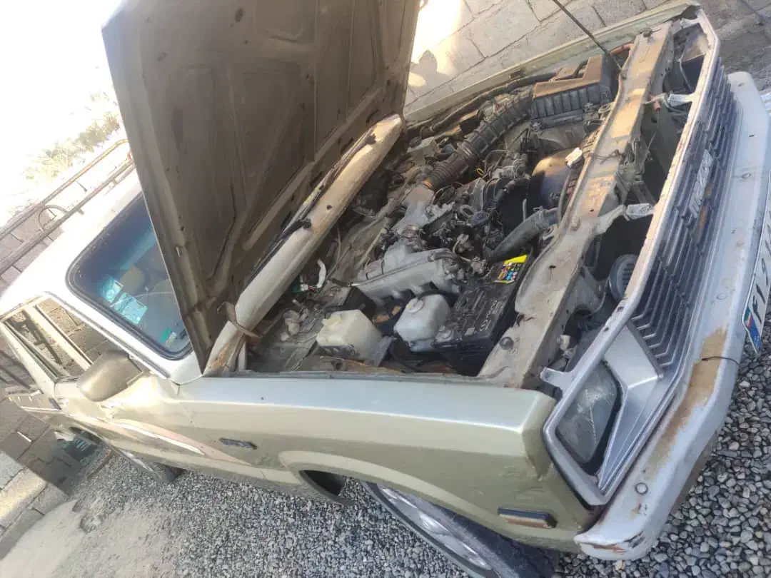 جهت فروش فوری|خودرو سواری و وانت|عنبرآباد, |دیوار