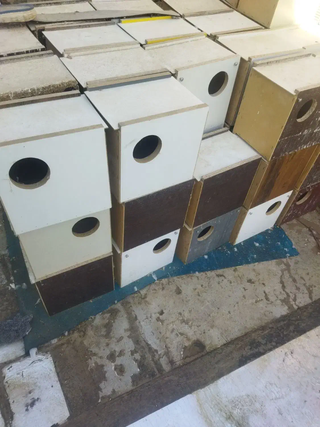 لونه|لوازم جانبی حیوانات|ساوه, |دیوار