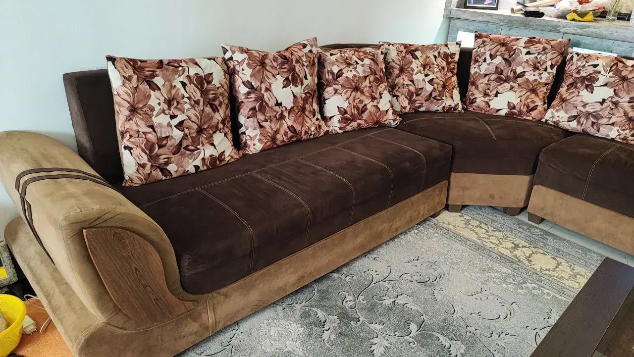مبلمان نه نفره|مبلمان خانگی و میز عسلی|شیراز, انجیر|دیوار
