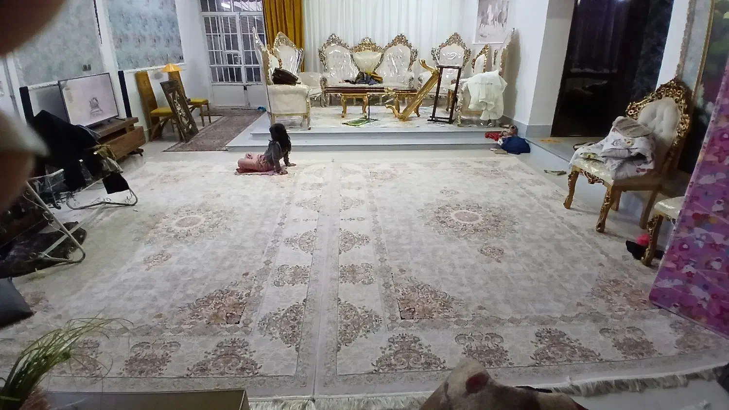 دو تخته فرش 9 متری|فرش|تربت‌حیدریه, شهرک ولیعصر|دیوار